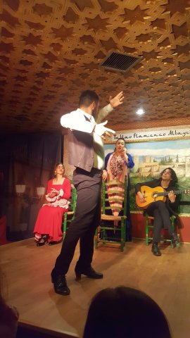566 granada flamenco show